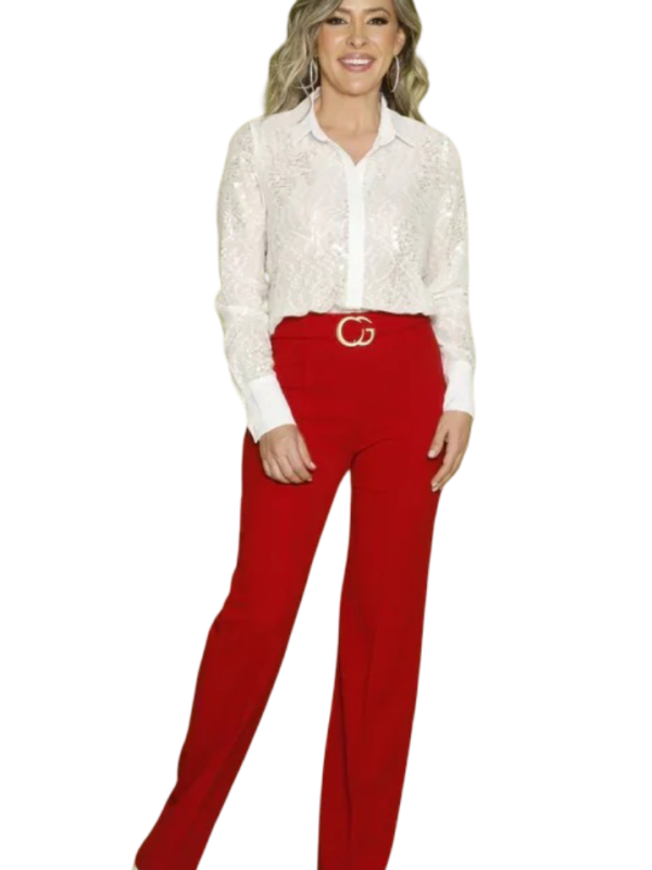 Blusa elegante look de noche