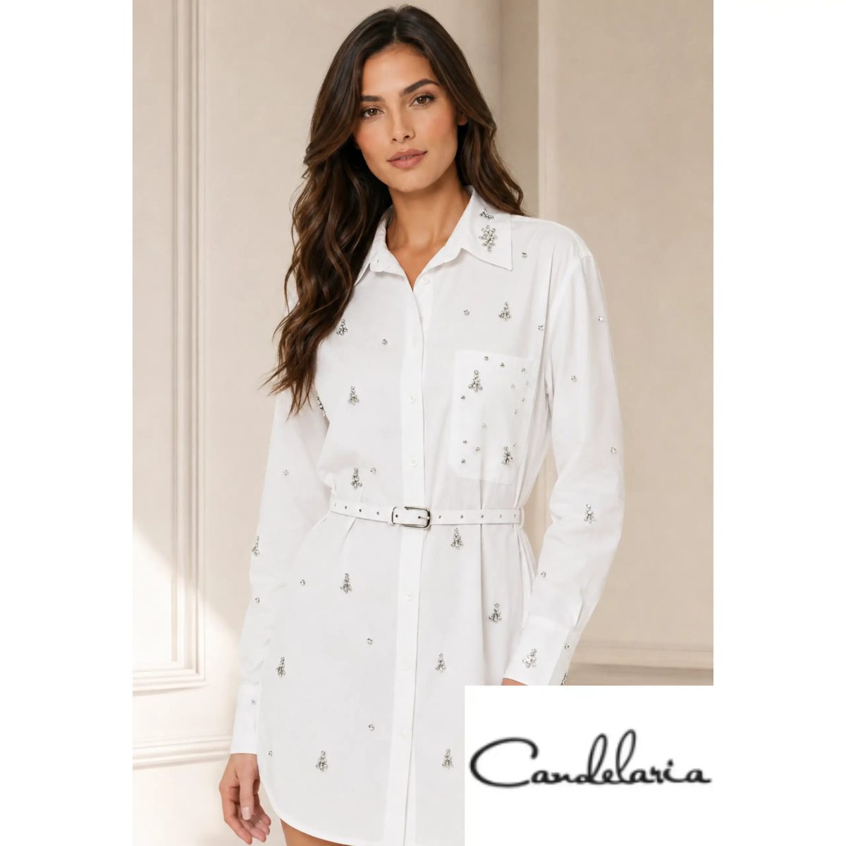 Blusa femenina clásica