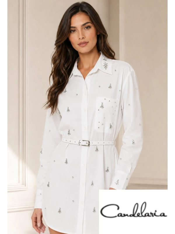 Blusa femenina clásica