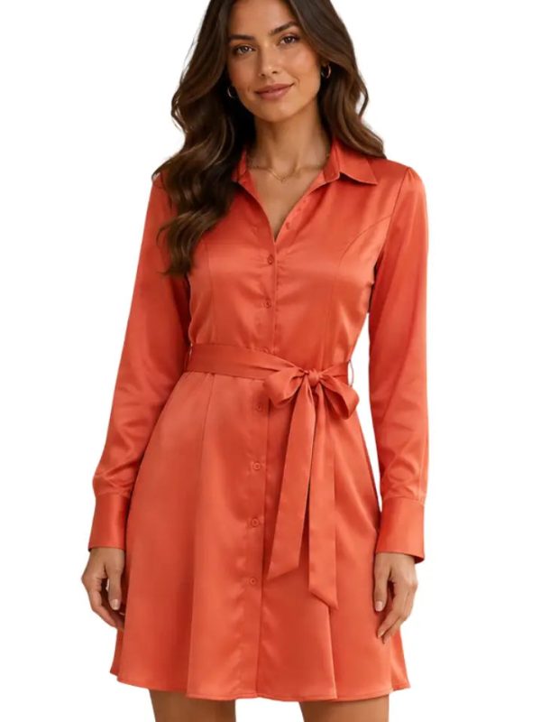 Vestido profesional